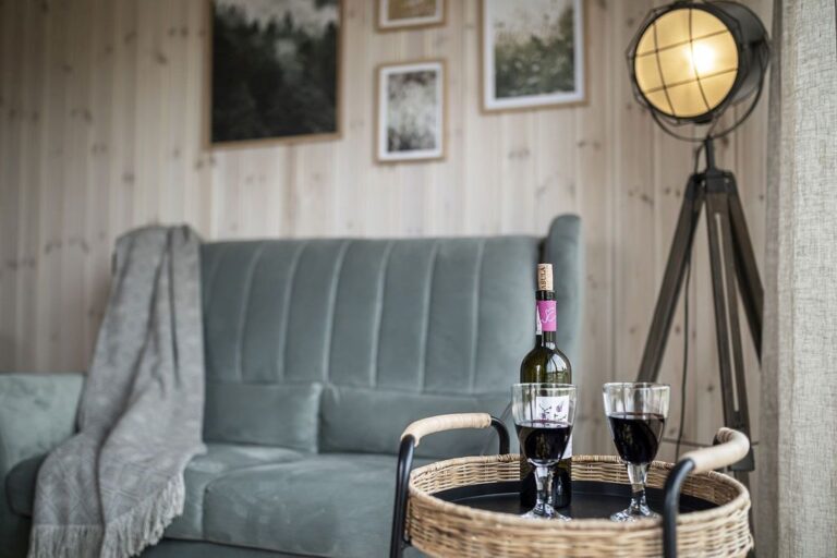 Zielona sofa z winem